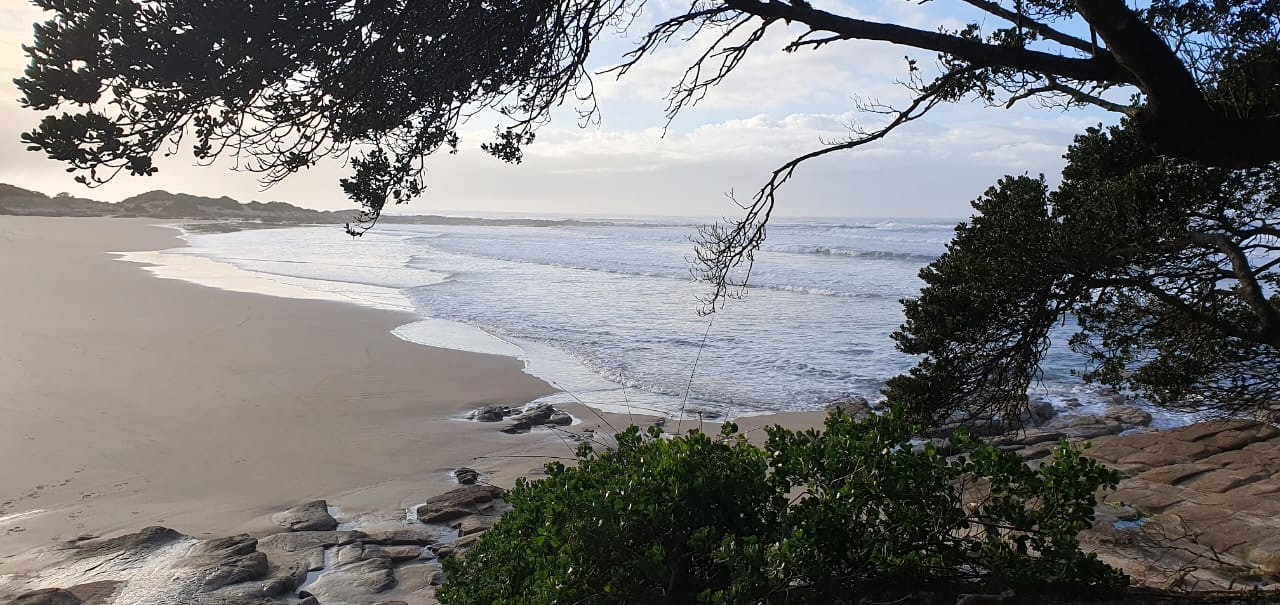 IMG-20240519-WA0027 copy